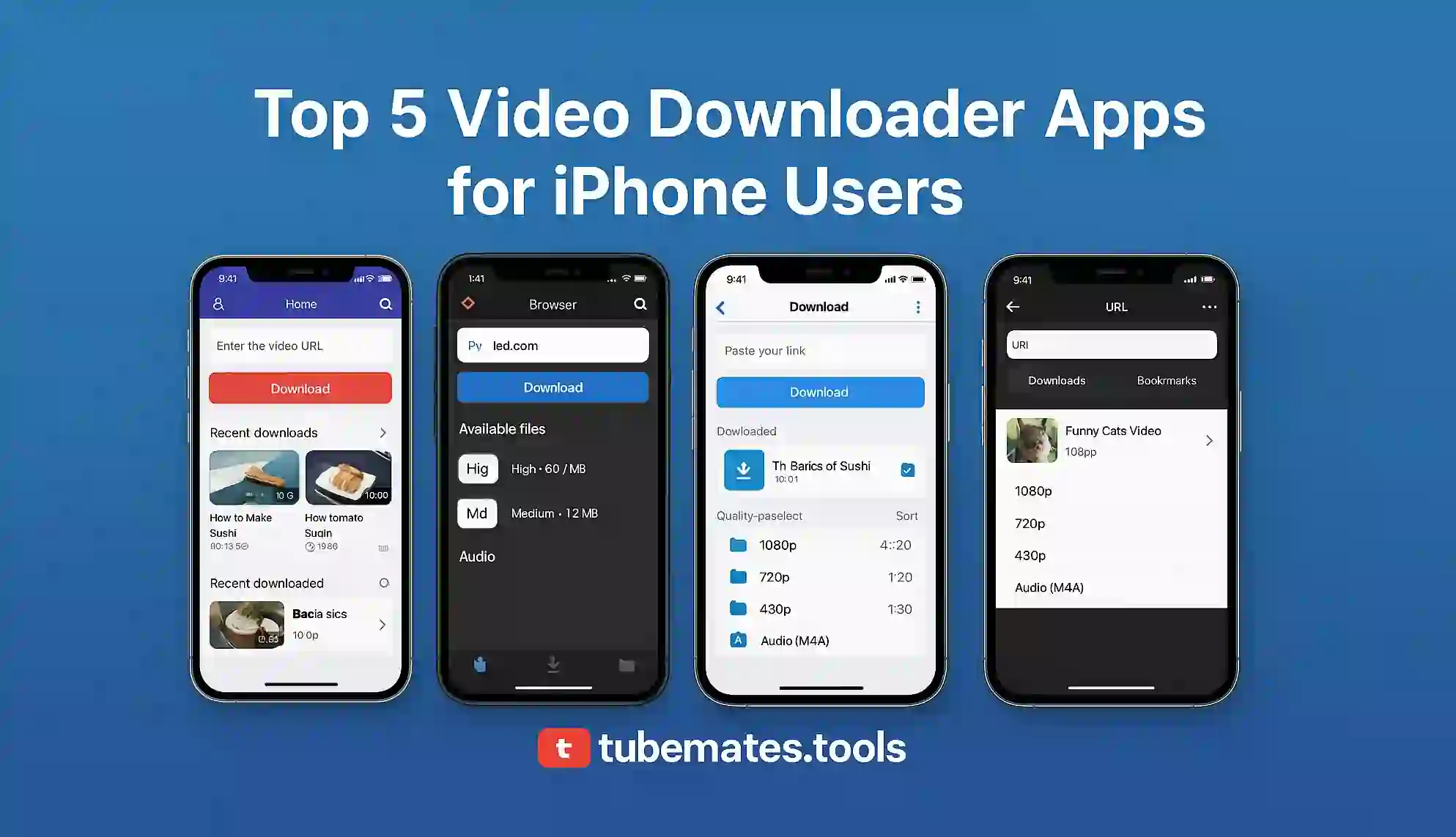 5 Video Downloader Apps for iPhone
